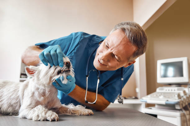 Best After-Hours Emergency Dentist in Wewahitchka, FL